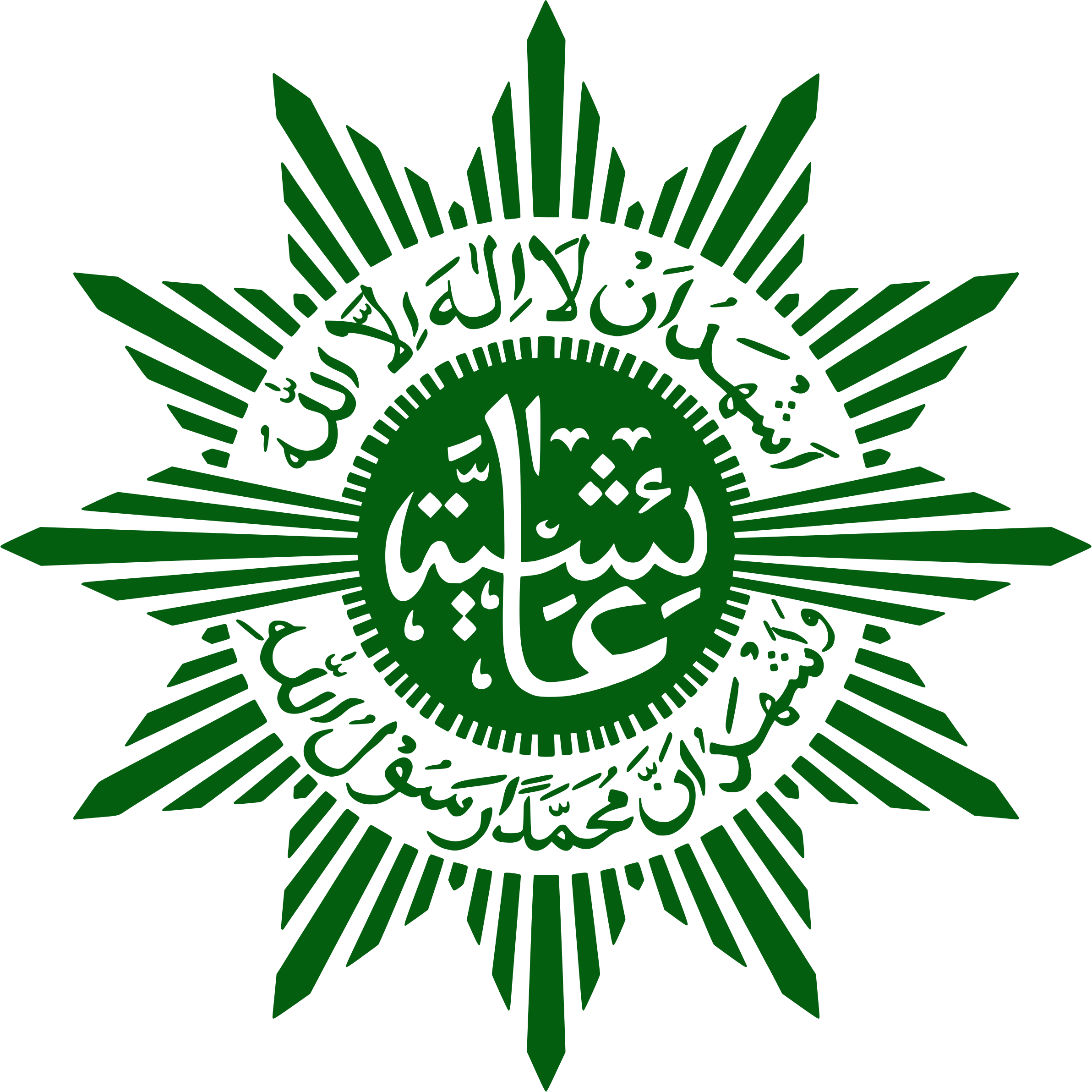 Logo Aisyiyah
